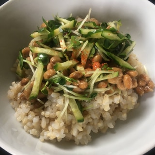 かいわれ大根とキュウリの納豆玄米丼